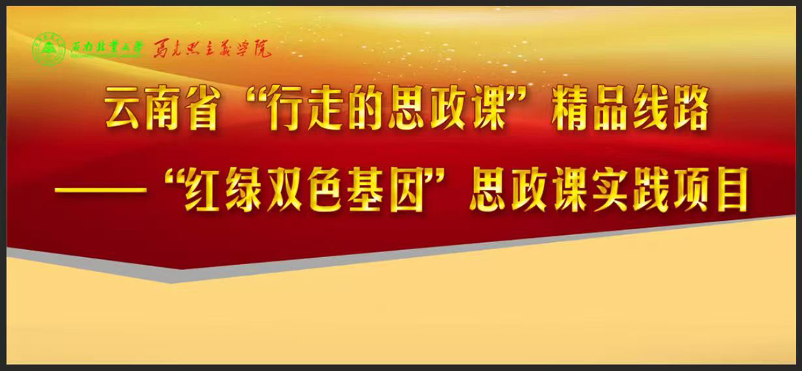 BBIN体育(中国)官方网站